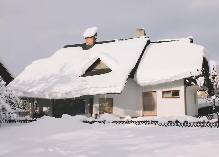 Sasha * ブレッド